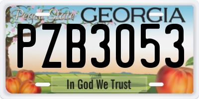 GA license plate PZB3053
