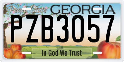GA license plate PZB3057