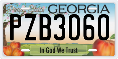 GA license plate PZB3060