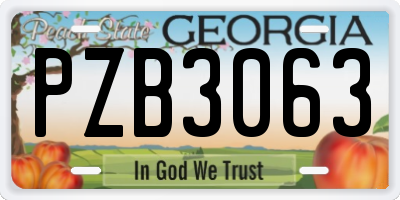 GA license plate PZB3063
