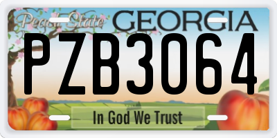 GA license plate PZB3064