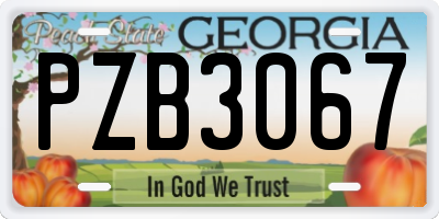 GA license plate PZB3067