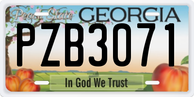 GA license plate PZB3071