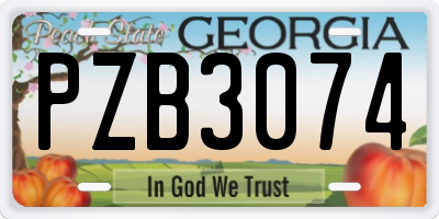 GA license plate PZB3074