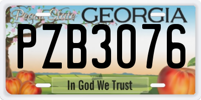 GA license plate PZB3076
