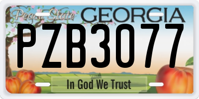 GA license plate PZB3077