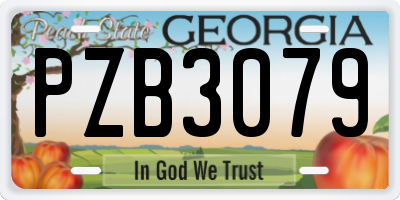 GA license plate PZB3079