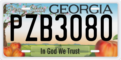 GA license plate PZB3080