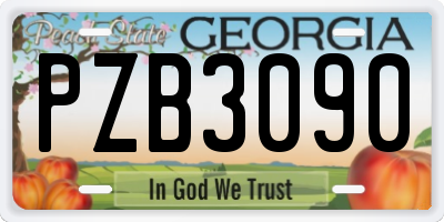GA license plate PZB3090