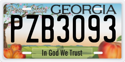 GA license plate PZB3093