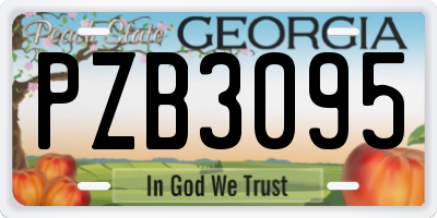 GA license plate PZB3095
