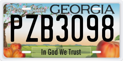 GA license plate PZB3098