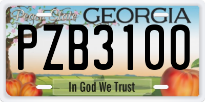GA license plate PZB3100