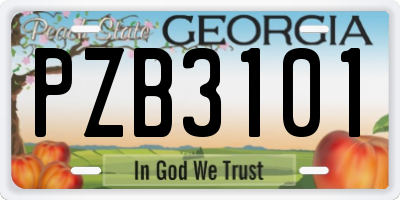 GA license plate PZB3101