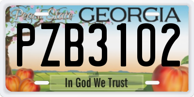 GA license plate PZB3102