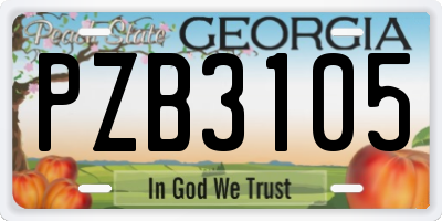 GA license plate PZB3105