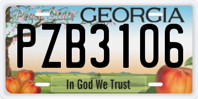 GA license plate PZB3106