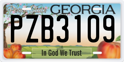 GA license plate PZB3109