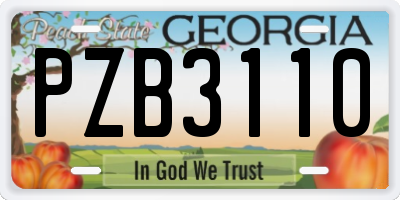 GA license plate PZB3110