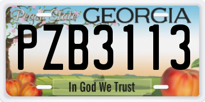 GA license plate PZB3113