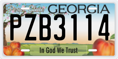 GA license plate PZB3114