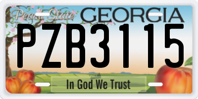 GA license plate PZB3115