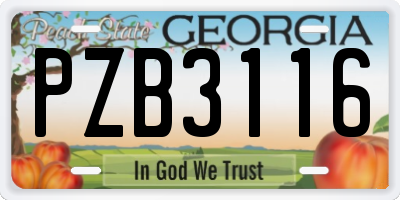 GA license plate PZB3116