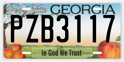 GA license plate PZB3117