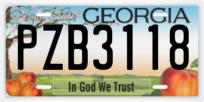 GA license plate PZB3118