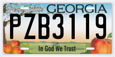 GA license plate PZB3119