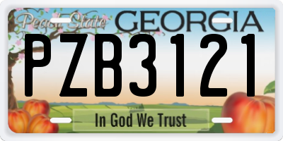 GA license plate PZB3121