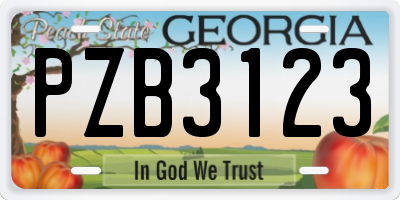 GA license plate PZB3123
