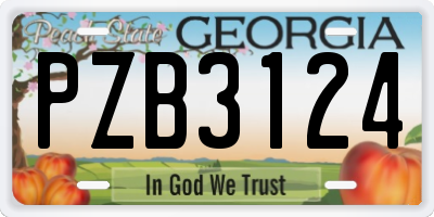 GA license plate PZB3124