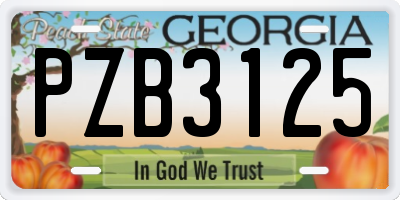GA license plate PZB3125