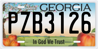 GA license plate PZB3126