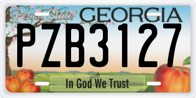 GA license plate PZB3127