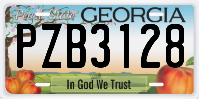 GA license plate PZB3128