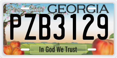 GA license plate PZB3129