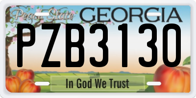 GA license plate PZB3130