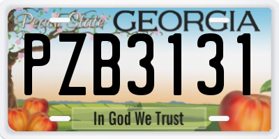 GA license plate PZB3131