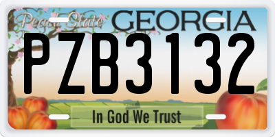 GA license plate PZB3132