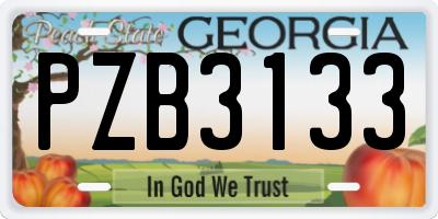 GA license plate PZB3133
