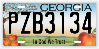 GA license plate PZB3134