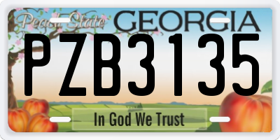 GA license plate PZB3135