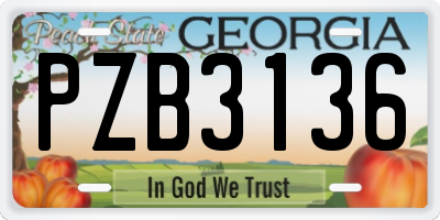GA license plate PZB3136