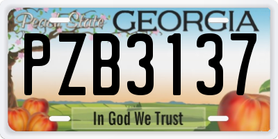 GA license plate PZB3137