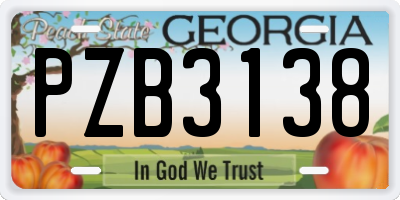 GA license plate PZB3138