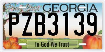 GA license plate PZB3139