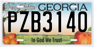 GA license plate PZB3140