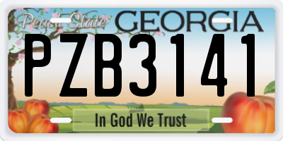 GA license plate PZB3141